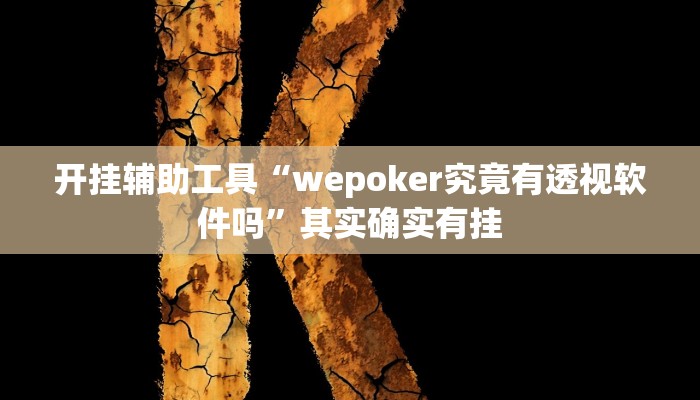 开挂辅助工具“wepoker究竟有透视软件吗”其实确实有挂