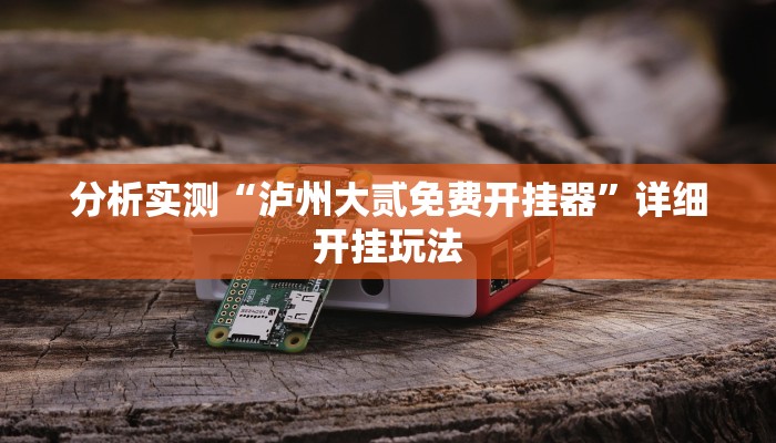 分析实测“泸州大贰免费开挂器”详细开挂玩法