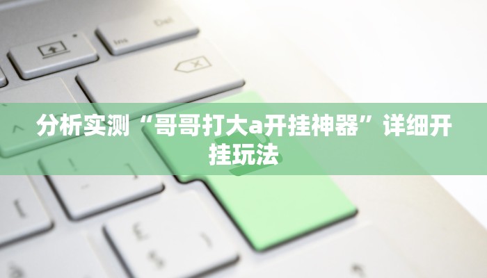 分析实测“哥哥打大a开挂神器”详细开挂玩法