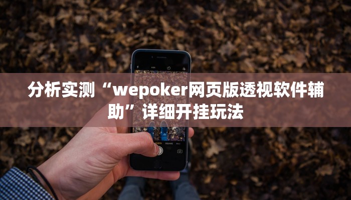 分析实测“wepoker网页版透视软件辅助”详细开挂玩法