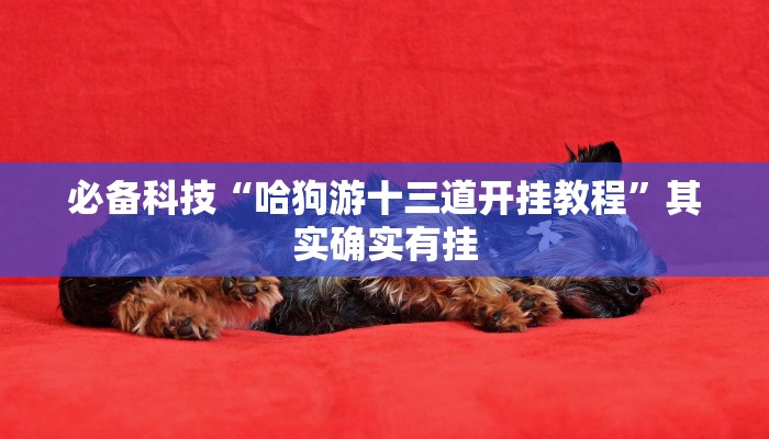 必备科技“哈狗游十三道开挂教程”其实确实有挂 必备科技“哈狗游十三道开挂教程”其实确实有挂