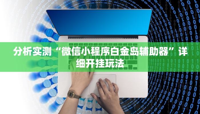 分析实测“微信小程序白金岛辅助器”详细开挂玩法