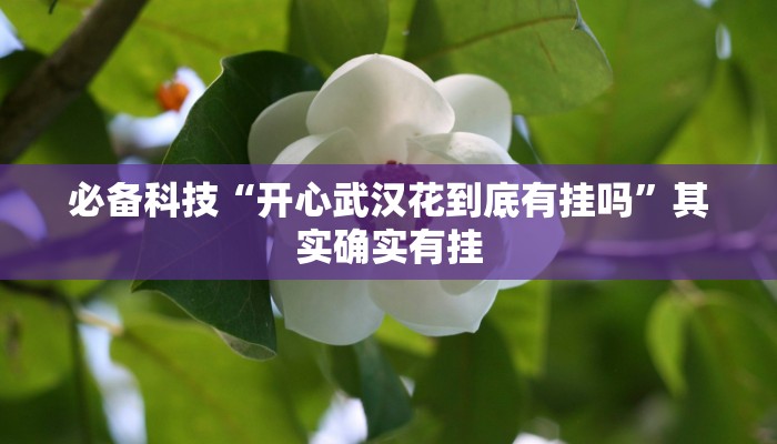 必备科技“开心武汉花到底有挂吗”其实确实有挂