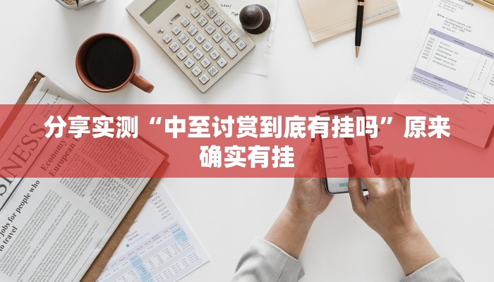 分享实测“中至讨赏到底有挂吗”原来确实有挂