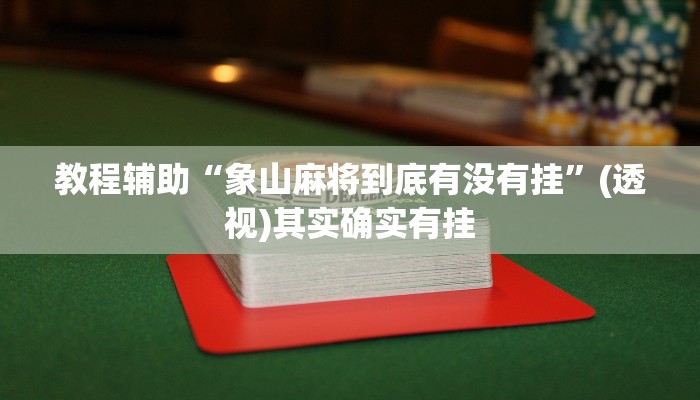 教程辅助“象山麻将到底有没有挂”(透视)其实确实有挂