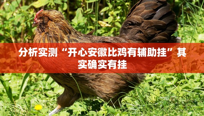 分析实测“开心安徽比鸡有辅助挂”其实确实有挂