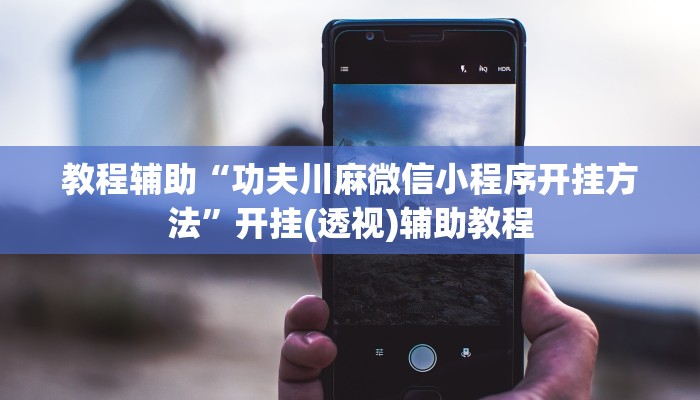 教程辅助“功夫川麻微信小程序开挂方法”开挂(透视)辅助教程