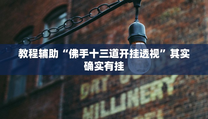 教程辅助“佛手十三道开挂透视”其实确实有挂