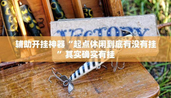 辅助开挂神器“起点休闲到底有没有挂”其实确实有挂 辅助开挂神器“起点休闲到底有没有挂”其实确实有挂