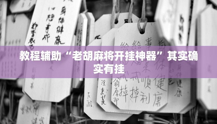 教程辅助“老胡麻将开挂神器”其实确实有挂 教程辅助“老胡麻将开挂神器”其实确实有挂