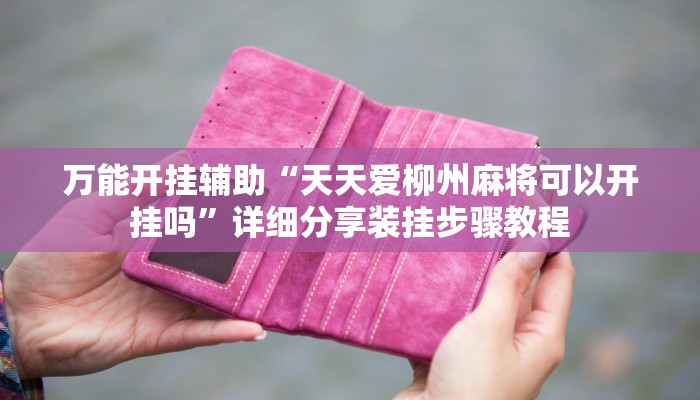 教程开挂辅助“灵动休闲如何开挂视频”详细分享装挂步骤教程