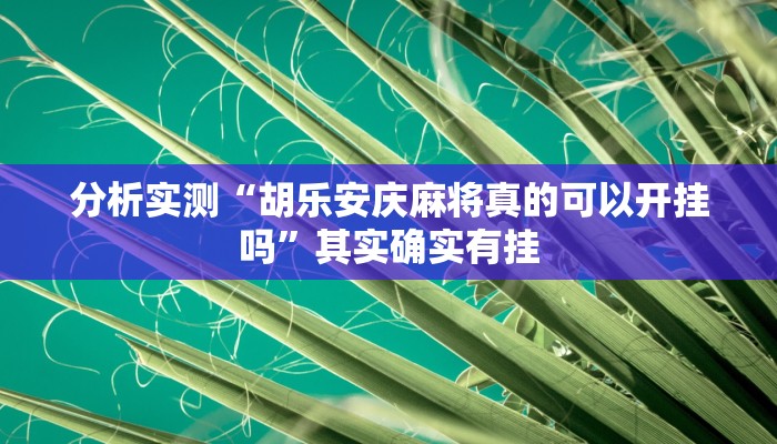 分析实测“胡乐安庆麻将真的可以开挂吗”其实确实有挂