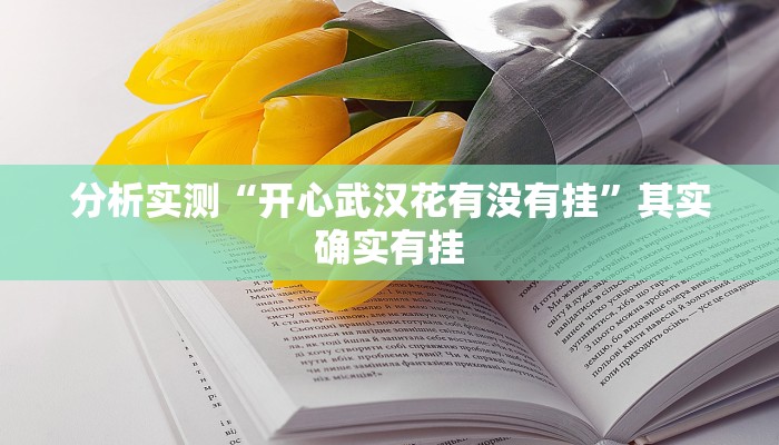 分析实测“开心武汉花有没有挂”其实确实有挂 分析实测“开心武汉花有没有挂”其实确实有挂