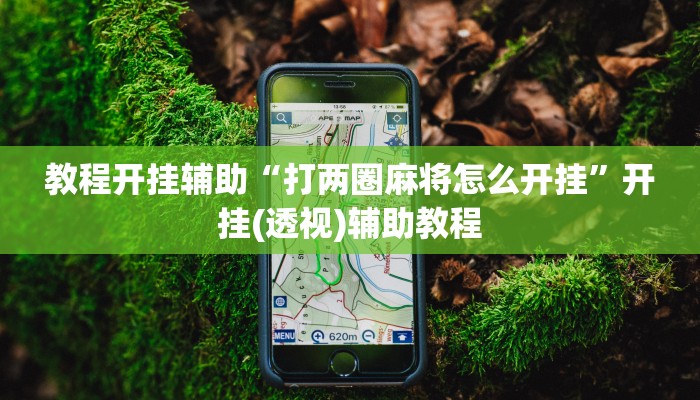 教程开挂辅助“打两圈麻将怎么开挂”开挂(透视)辅助教程 教程开挂辅助“打两圈麻将怎么开挂”开挂(透视)辅助教程