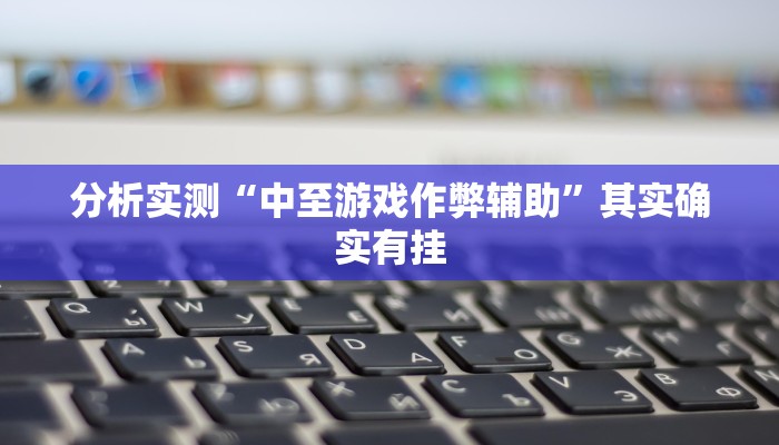 分析实测“中至游戏作弊辅助”其实确实有挂