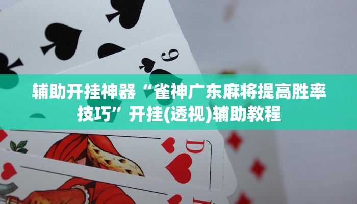 辅助开挂神器“雀神广东麻将提高胜率技巧”开挂(透视)辅助教程 辅助开挂神器“雀神广东麻将提高胜率技巧”开挂(透视)辅助教程