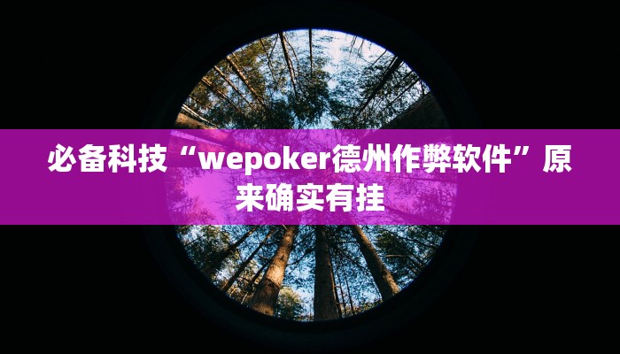 必备科技“wepoker德州作弊软件”原来确实有挂 必备科技“wepoker德州作弊软件”原来确实有挂