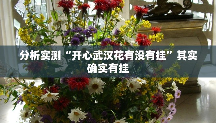 分析实测“开心武汉花有没有挂”其实确实有挂