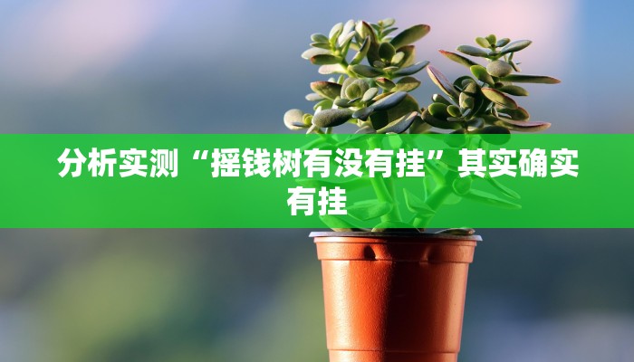 分析实测“摇钱树有没有挂”其实确实有挂