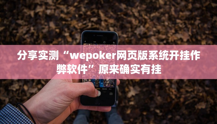 分享实测“wepoker网页版系统开挂作弊软件”原来确实有挂 分享实测“wepoker网页版系统开挂作弊软件”原来确实有挂