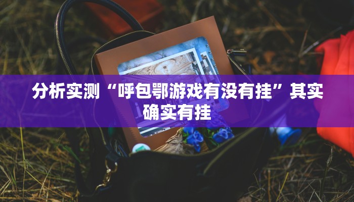 分析实测“呼包鄂游戏有没有挂”其实确实有挂 分析实测“呼包鄂游戏有没有挂”其实确实有挂