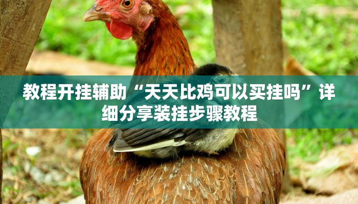 教程开挂辅助“天天比鸡可以买挂吗”详细分享装挂步骤教程 教程开挂辅助“天天比鸡可以买挂吗”详细分享装挂步骤教程