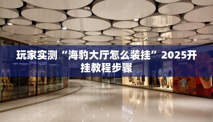 玩家实测“海豹大厅怎么装挂”2025开挂教程步骤