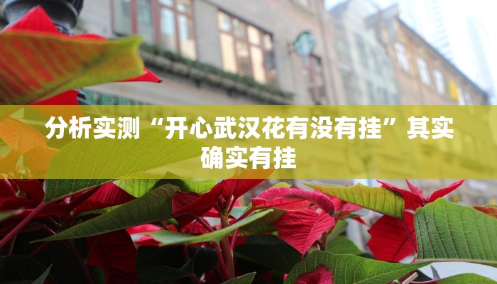 分析实测“开心武汉花有没有挂”其实确实有挂