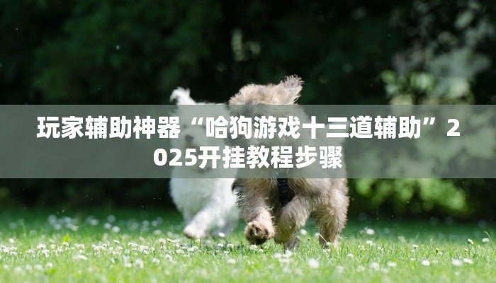 玩家辅助神器“哈狗游戏十三道辅助”2025开挂教程步骤 玩家辅助神器“哈狗游戏十三道辅助”2025开挂教程步骤